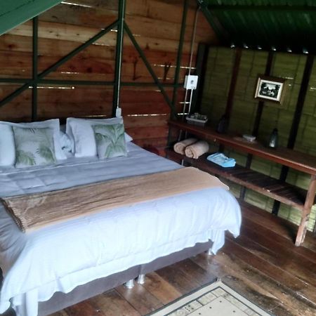 Ecohotel Pinohermoso Reserva Natural 萨兰托 外观 照片