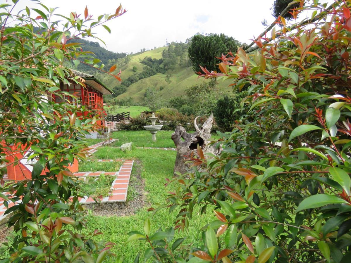 Ecohotel Pinohermoso Reserva Natural 萨兰托 外观 照片