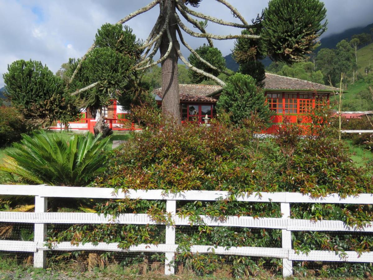 Ecohotel Pinohermoso Reserva Natural 萨兰托 外观 照片