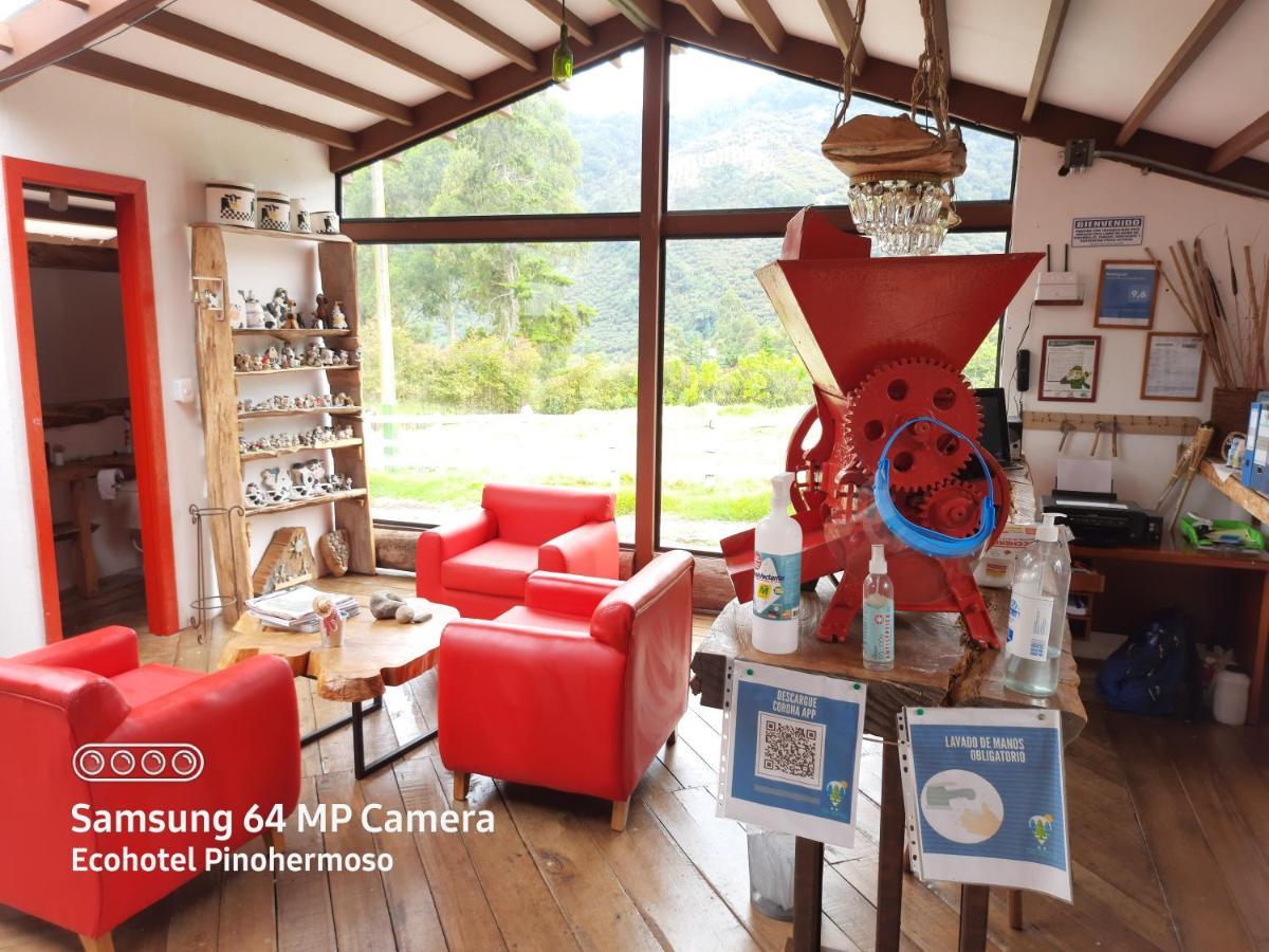 Ecohotel Pinohermoso Reserva Natural 萨兰托 外观 照片
