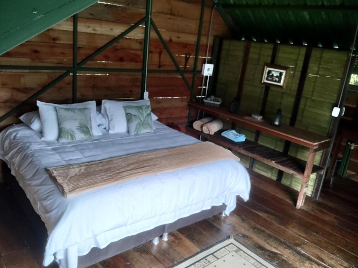 Ecohotel Pinohermoso Reserva Natural 萨兰托 外观 照片