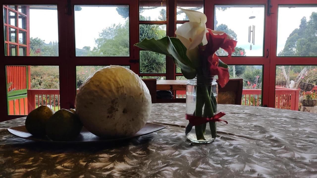 Ecohotel Pinohermoso Reserva Natural 萨兰托 外观 照片