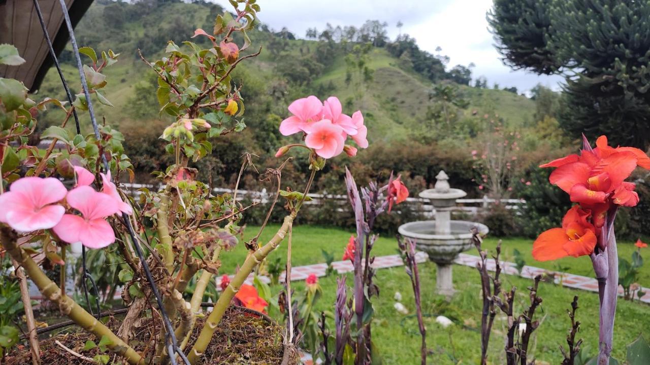 Ecohotel Pinohermoso Reserva Natural 萨兰托 外观 照片