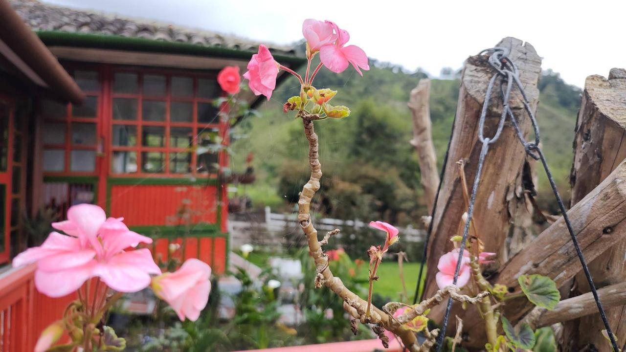 Ecohotel Pinohermoso Reserva Natural 萨兰托 外观 照片