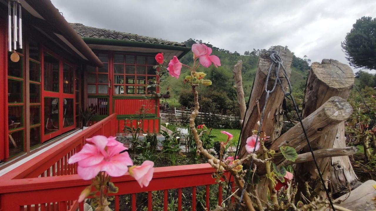 Ecohotel Pinohermoso Reserva Natural 萨兰托 外观 照片