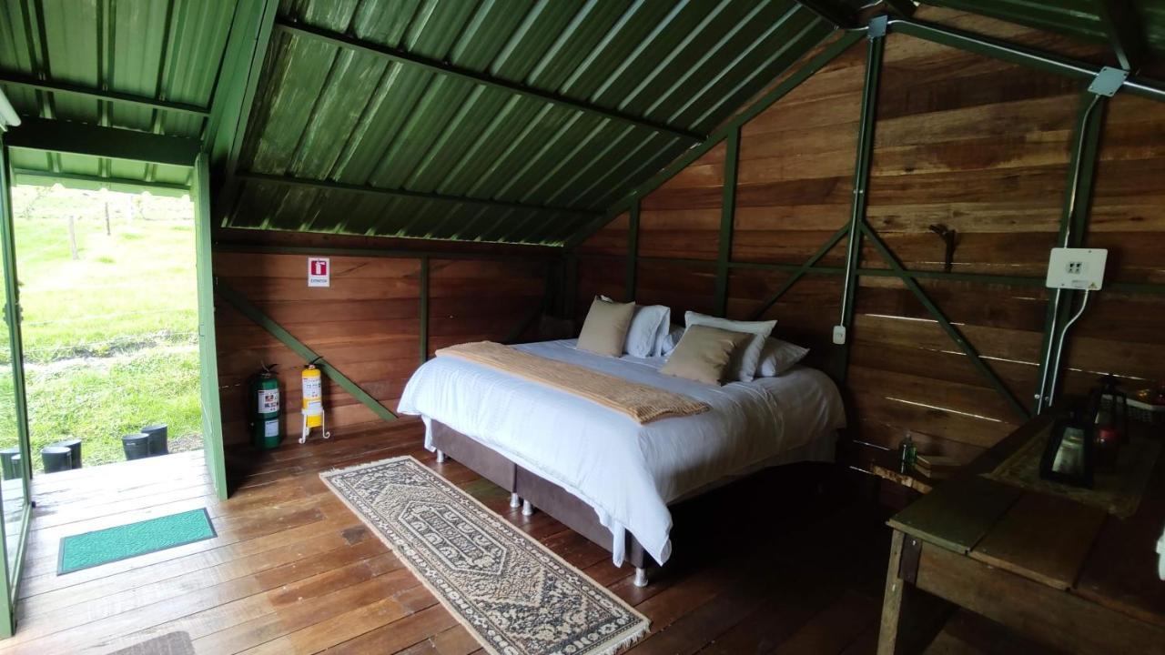 Ecohotel Pinohermoso Reserva Natural 萨兰托 外观 照片