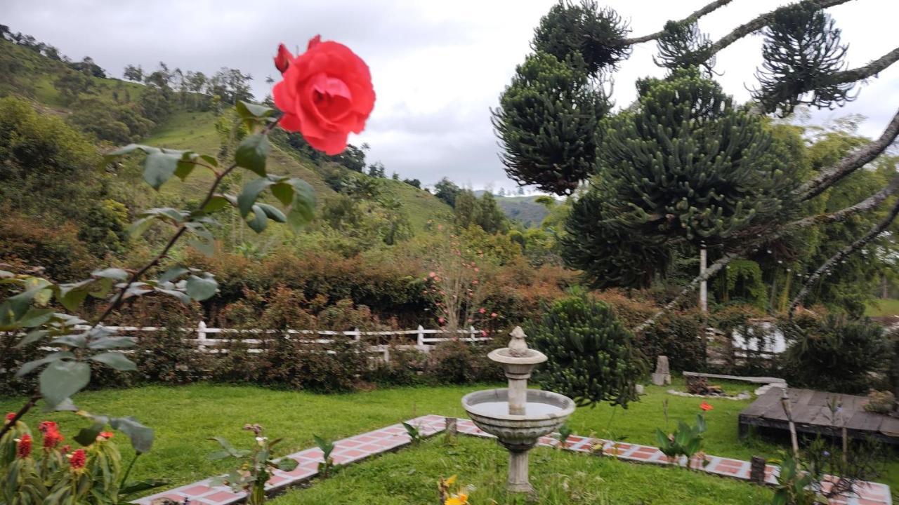 Ecohotel Pinohermoso Reserva Natural 萨兰托 外观 照片