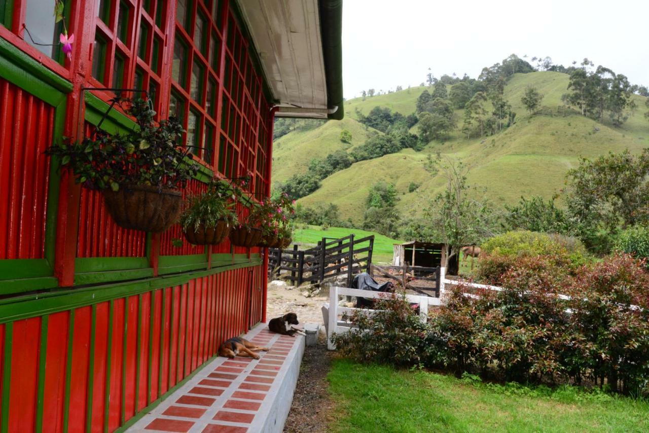 Ecohotel Pinohermoso Reserva Natural 萨兰托 外观 照片