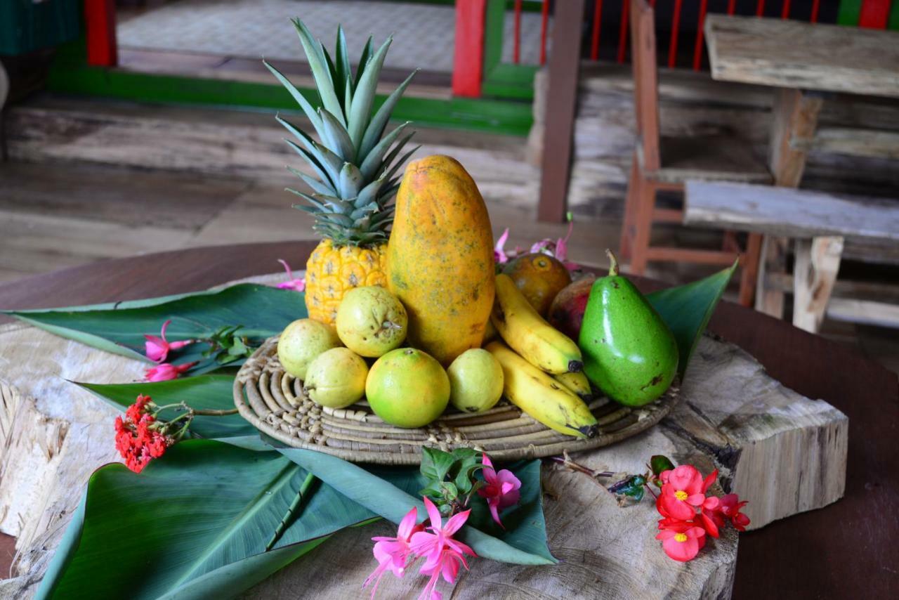 Ecohotel Pinohermoso Reserva Natural 萨兰托 外观 照片