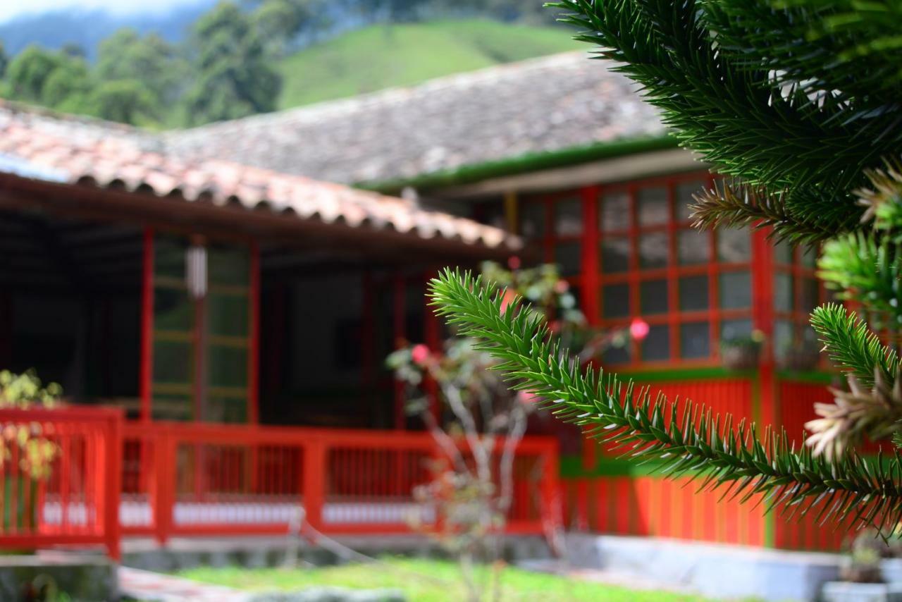 Ecohotel Pinohermoso Reserva Natural 萨兰托 外观 照片