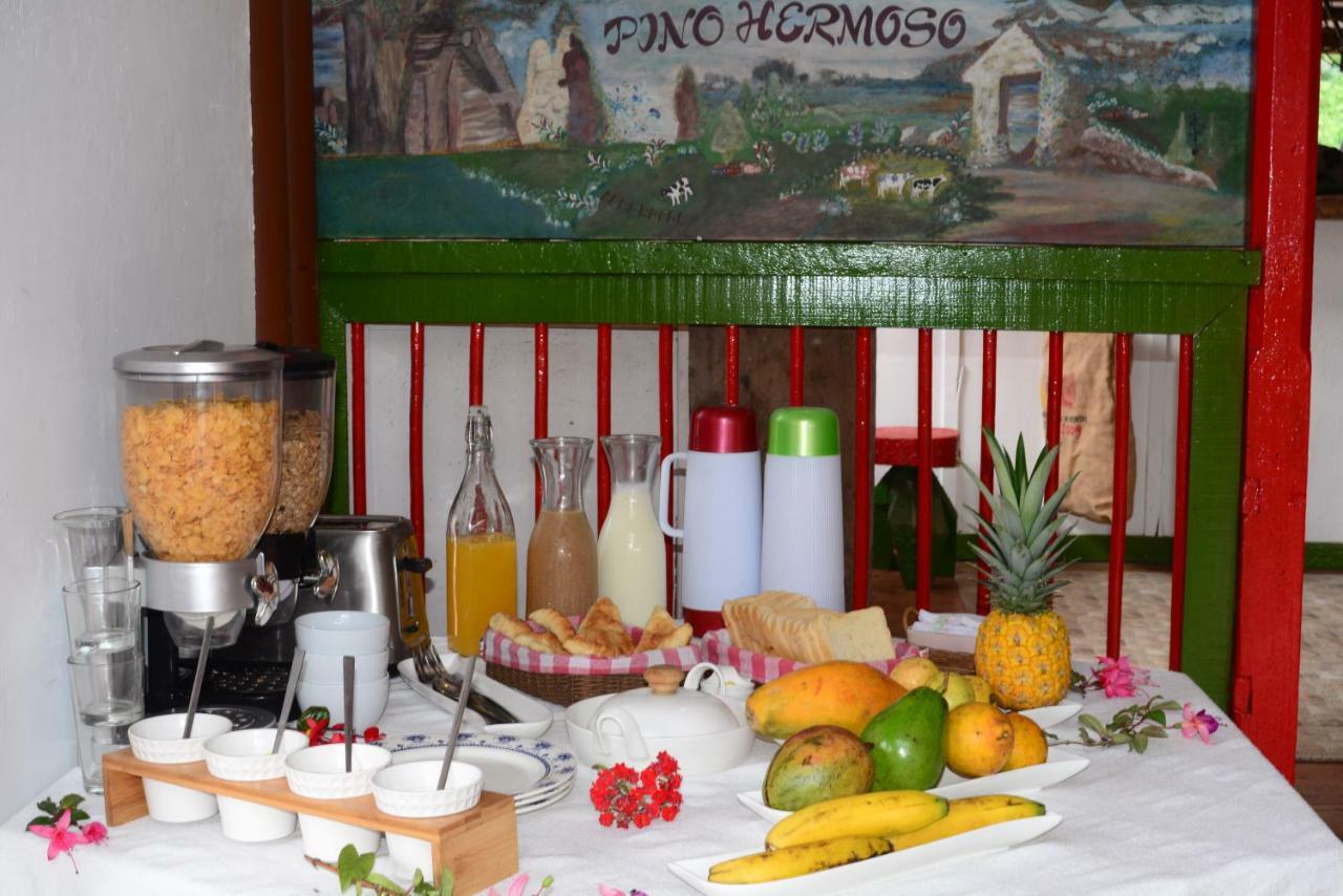Ecohotel Pinohermoso Reserva Natural 萨兰托 外观 照片