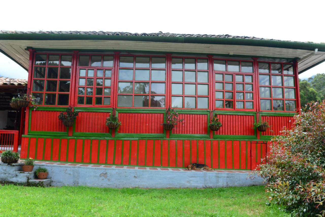 Ecohotel Pinohermoso Reserva Natural 萨兰托 外观 照片
