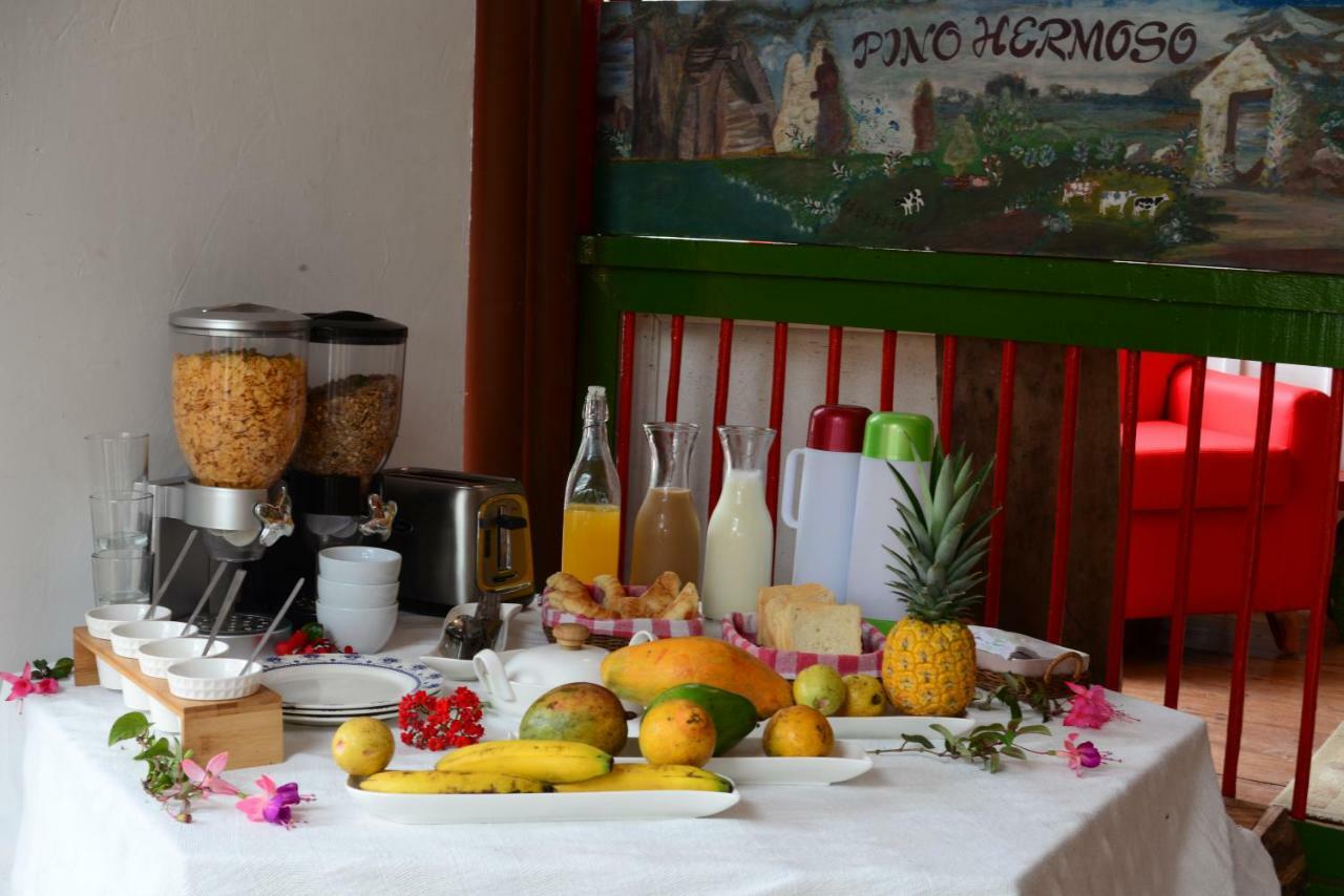 Ecohotel Pinohermoso Reserva Natural 萨兰托 外观 照片