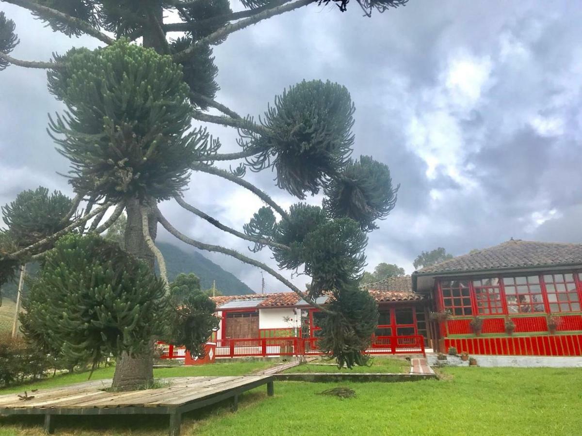 Ecohotel Pinohermoso Reserva Natural 萨兰托 外观 照片
