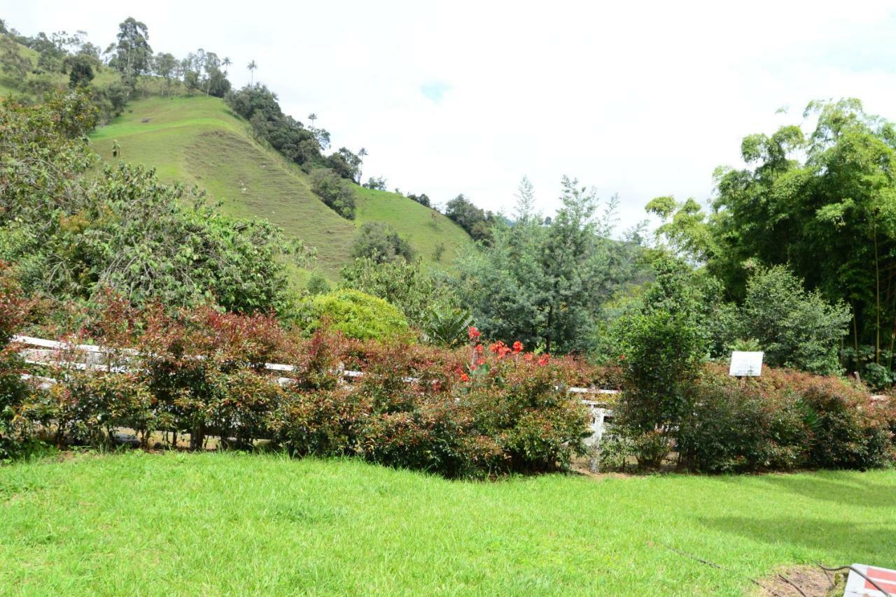 Ecohotel Pinohermoso Reserva Natural 萨兰托 外观 照片