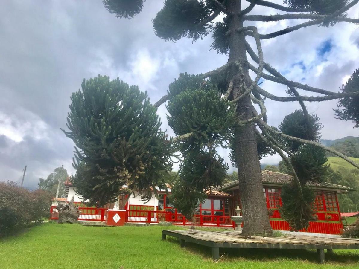 Ecohotel Pinohermoso Reserva Natural 萨兰托 外观 照片
