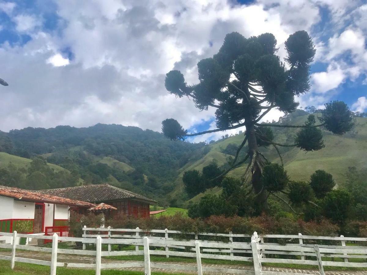 Ecohotel Pinohermoso Reserva Natural 萨兰托 外观 照片