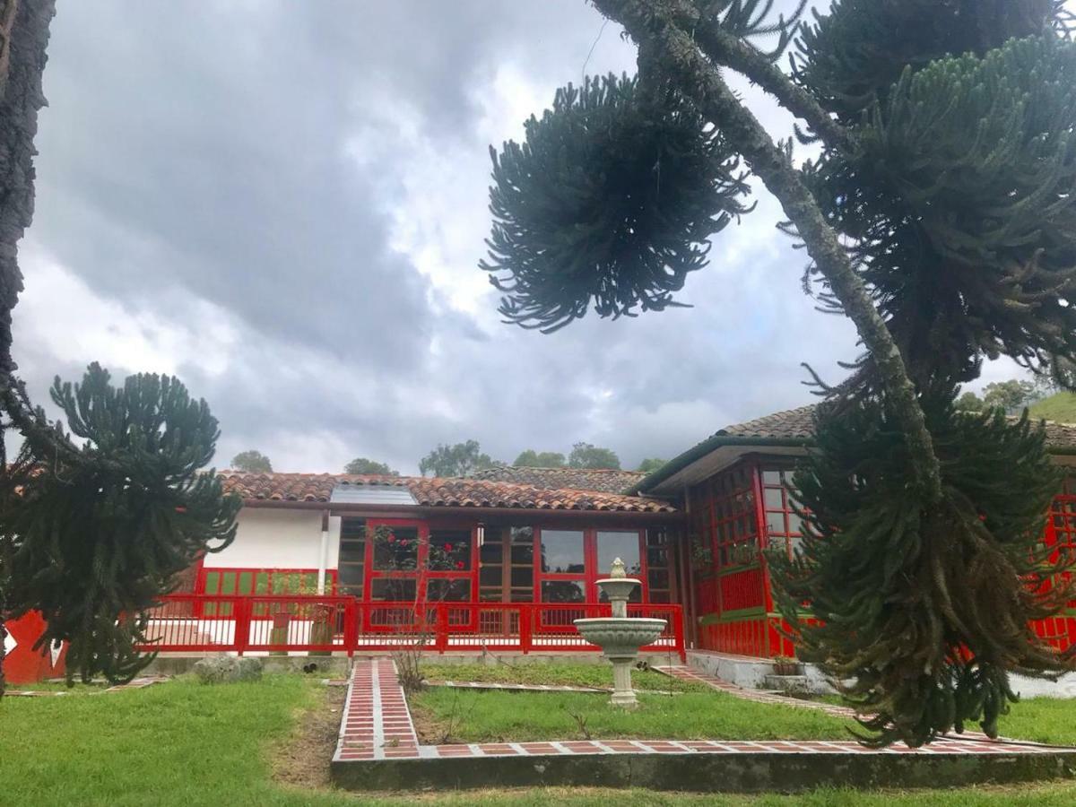 Ecohotel Pinohermoso Reserva Natural 萨兰托 外观 照片