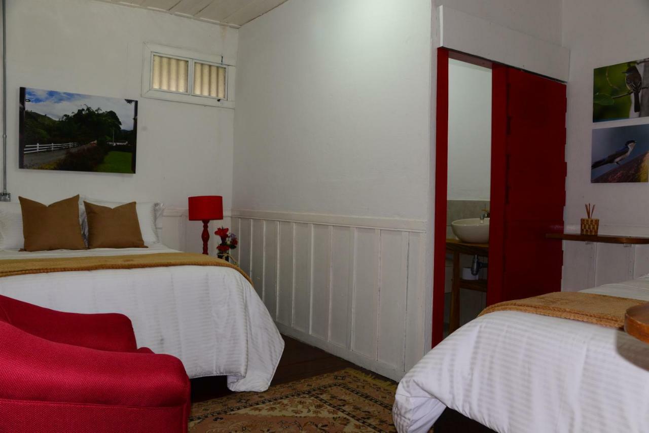 Ecohotel Pinohermoso Reserva Natural 萨兰托 外观 照片